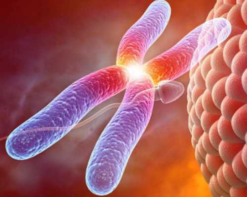 国内供卵试管成功率是多少,平凉私人试管医院推荐，附医院费用明细